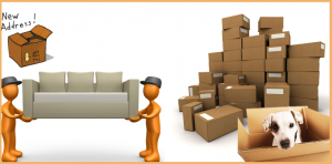Movers Singapore